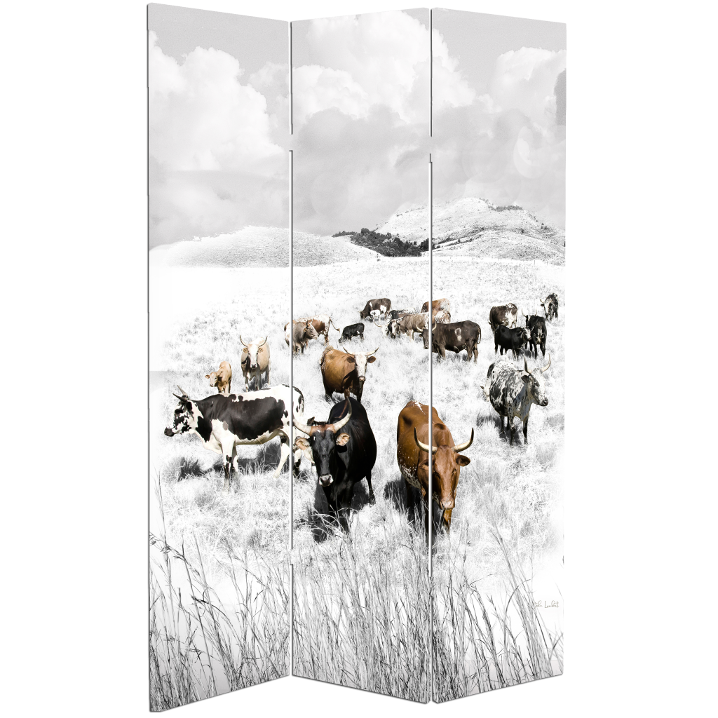 ROOM DIVIDER NGUNI Nguni Galore