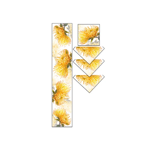 500 X 650